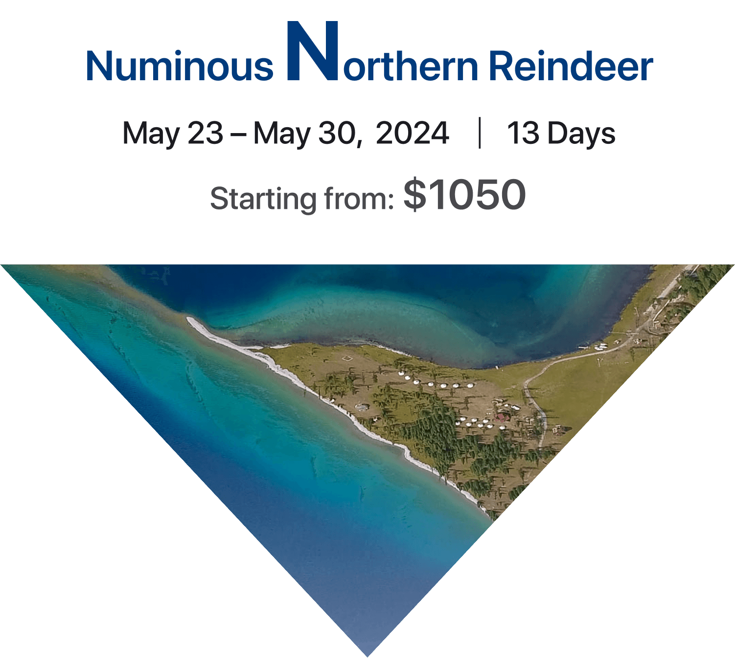 Numinous Northern Reindeer