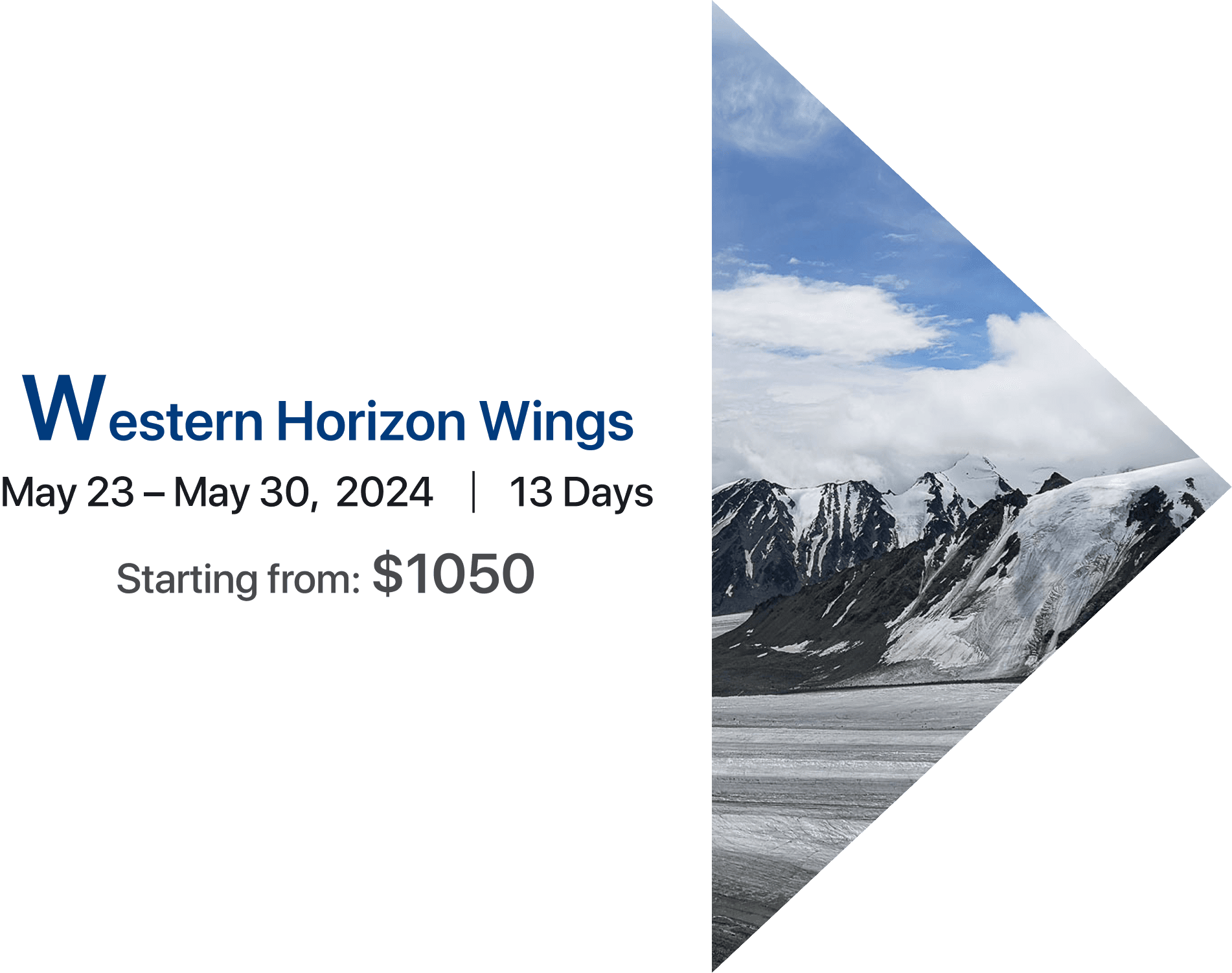 Western Horizon Wings