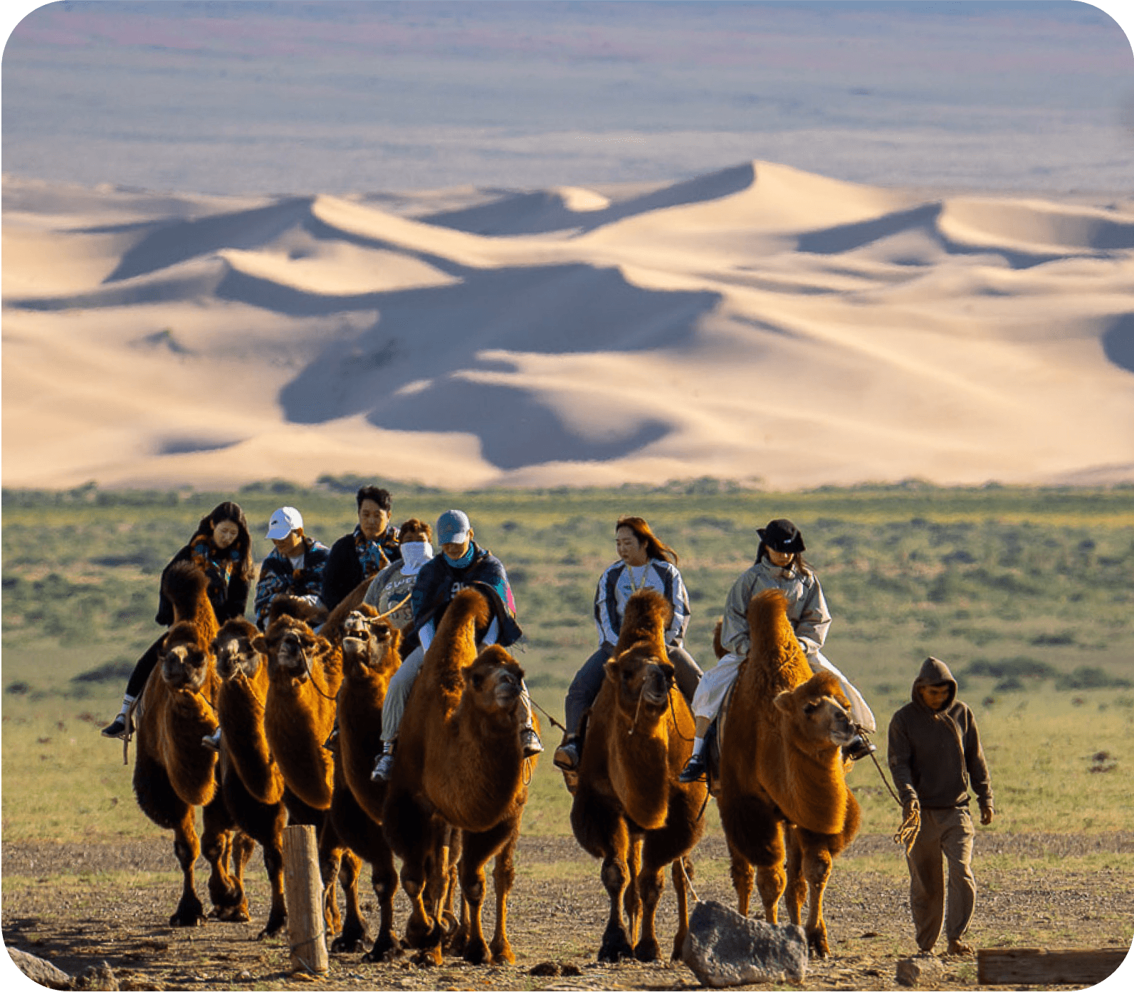 Gobi Odyssey